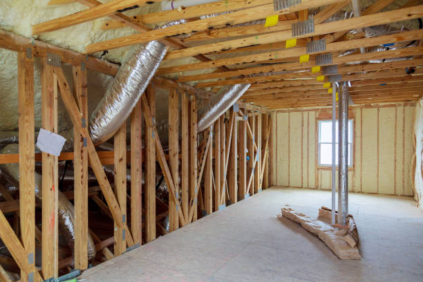 Best Insulation Contractors for Homes  in Sidy, NE