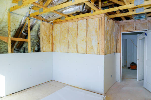 Best Local Insulation Services  in Sidy, NE