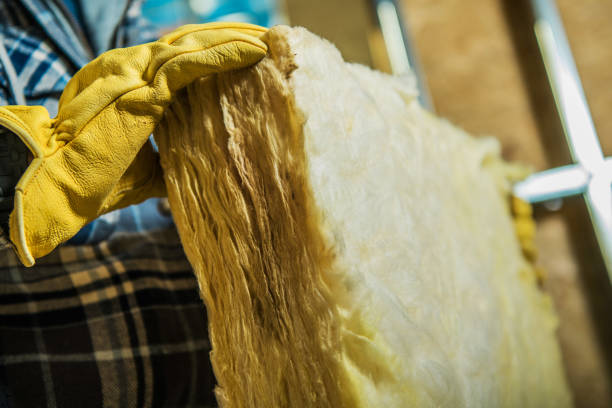 Best Insulation Repair Services  in Sidy, NE