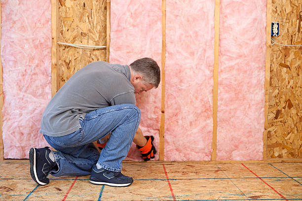 Best Wall Insulation Contractor  in Sidy, NE