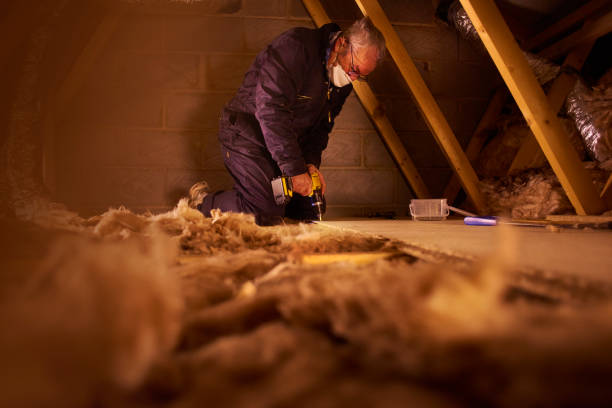 Insulation Replacement Services in Sidney, NE